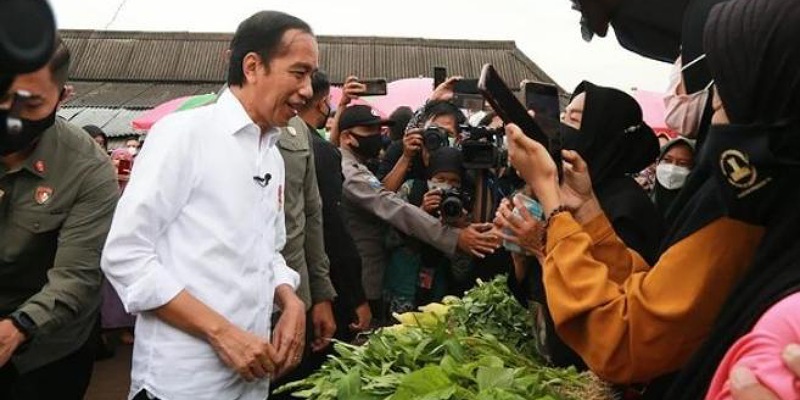Presiden Jokowi saat meninjau harga minyak goreng curah di Pasar Baros, Kabupaten Serang/Hendra