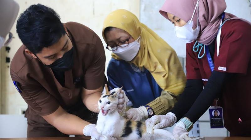 Pemeriksaan hewan di Puskeswan Kota Tangerang/Repro