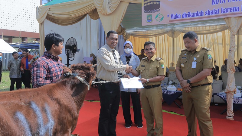 Wakil Walikota Tangerang Sachrudin secara simbolis menerima 32 Sapi dari RSUP Sitanala. (Foto: Dok Pemkot)