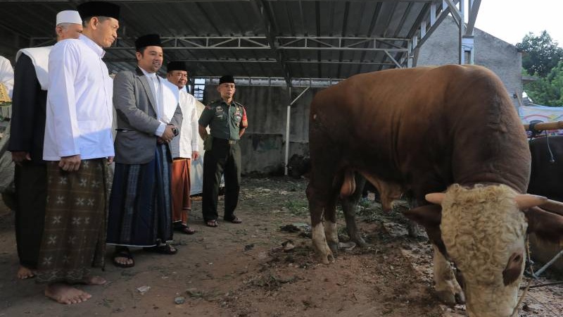 Walikota Tangerang Arief Wismansyah saat menyerahkan hewan kurban di Masjid Jami Al Abidin Ciledug. (Foto:Dok Pemkot)