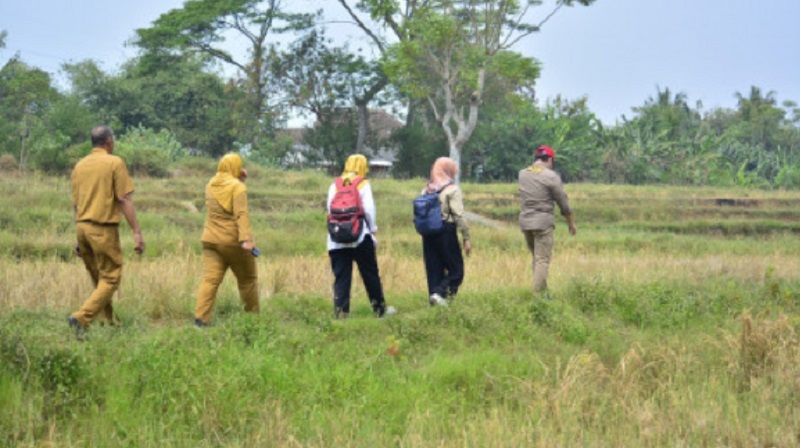 Lahan pertanian di Kabupaten Tangerang yang terkena dampak kekeringan sehingga menyebabkan gagal panen (Puso). (Foto: Dok Pemkab)