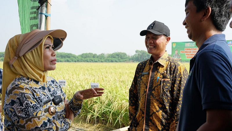 Bupati Serang, Ratu Tatu Chasanah didampingi Kepala DKPP Suhardjo saat bincang dengan petani millenial. (Foto: Dok Humas Pemkab)