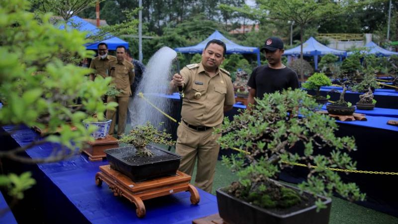 Walikota Tangerang Arief WIsmansyah saat meninjau pameran bonsai. (Foto: Dok Pemkot)