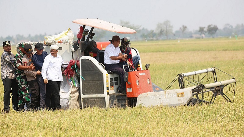 Pj Gubernur Banten Al Muktabar sedang memanen padi. (Foto: Dok Pemprov)
